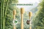 Three bamboo toothbrushes with boar's hair, labeled as 100% biodegradable, set against a natural background with bamboo stalks.
