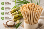 Sugar cane straws in a container with sugarcane and text highlighting benefits on a light background