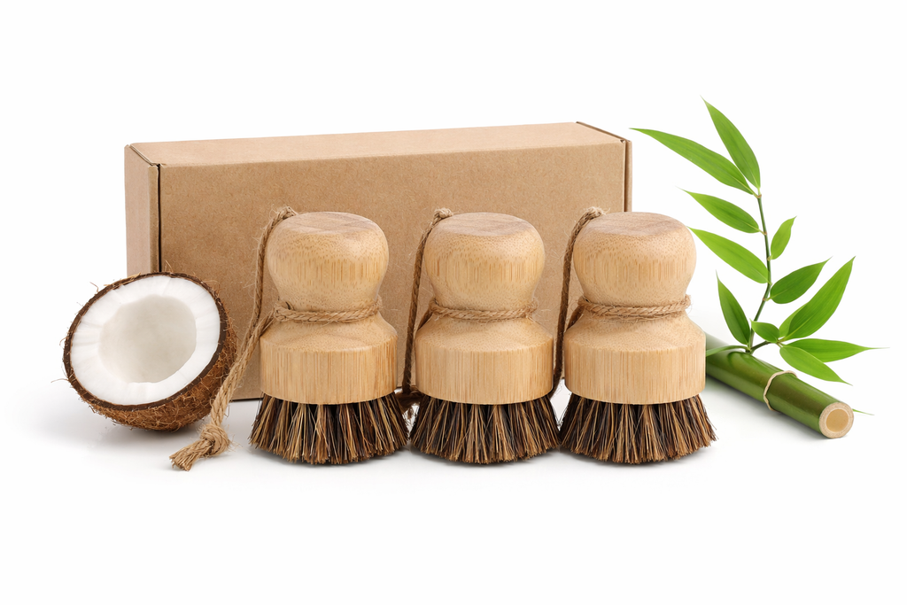 Set of three wooden dish brushes with a coconut and bamboo leaf on a white background