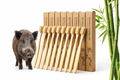 Bamboo toothbrushes with packaging and a wild boar in the background