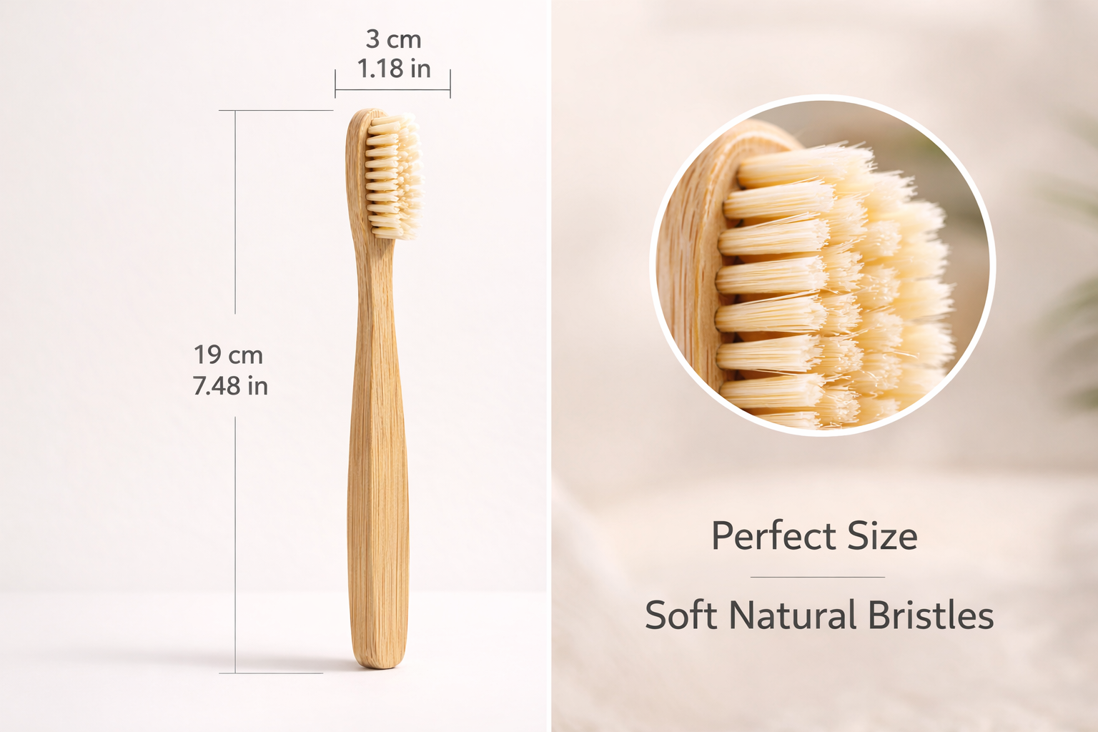 Bamboo toothbrush with measurements and close-up of soft natural bristles on a light background