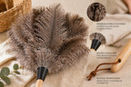 Ostrich feather duster with natural wood handle on a beige background