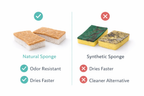 Comparison chart of natural and synthetic sponges with their respective advantages and disadvantages.