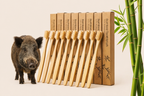 Bamboo toothbrushes with packaging and a piglet on a beige background